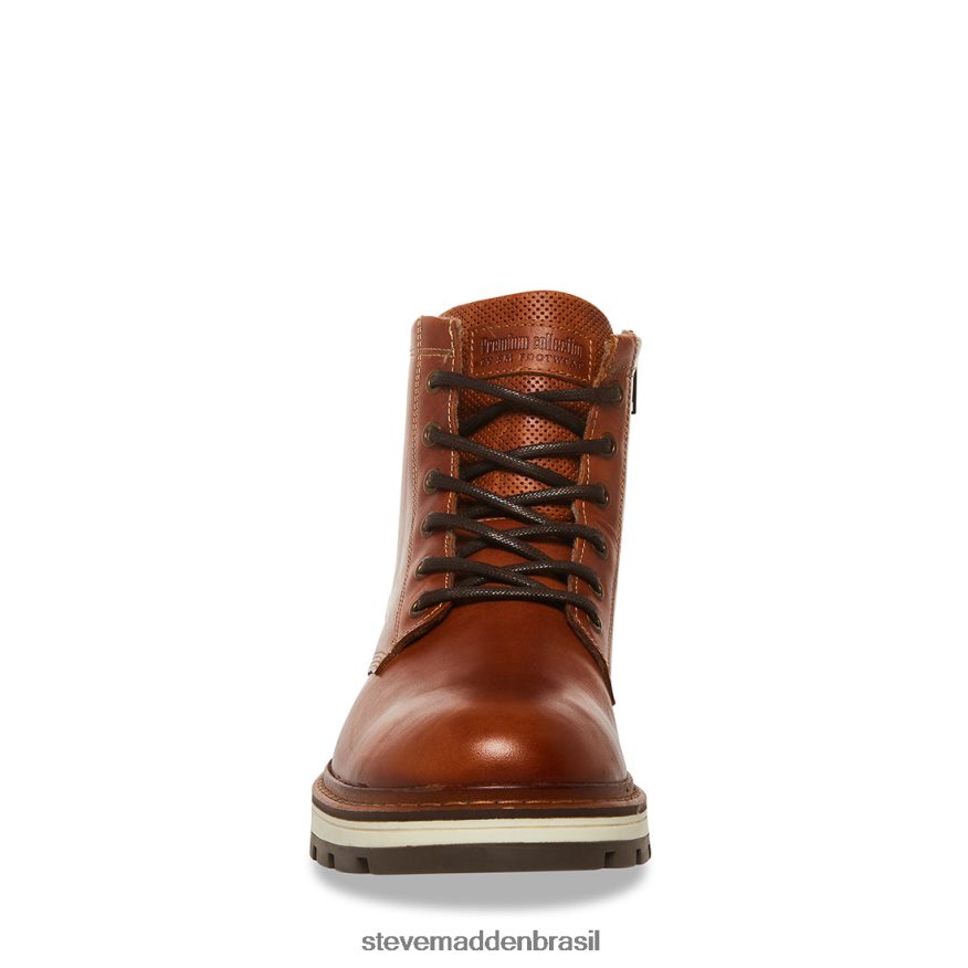 calçados couro conhaque homens Steve Madden Lúcio ZTFPZH973