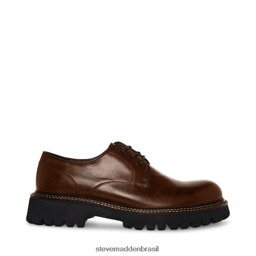 calçados Couro Marrom homens Steve Madden zylen ZTFPZH1029