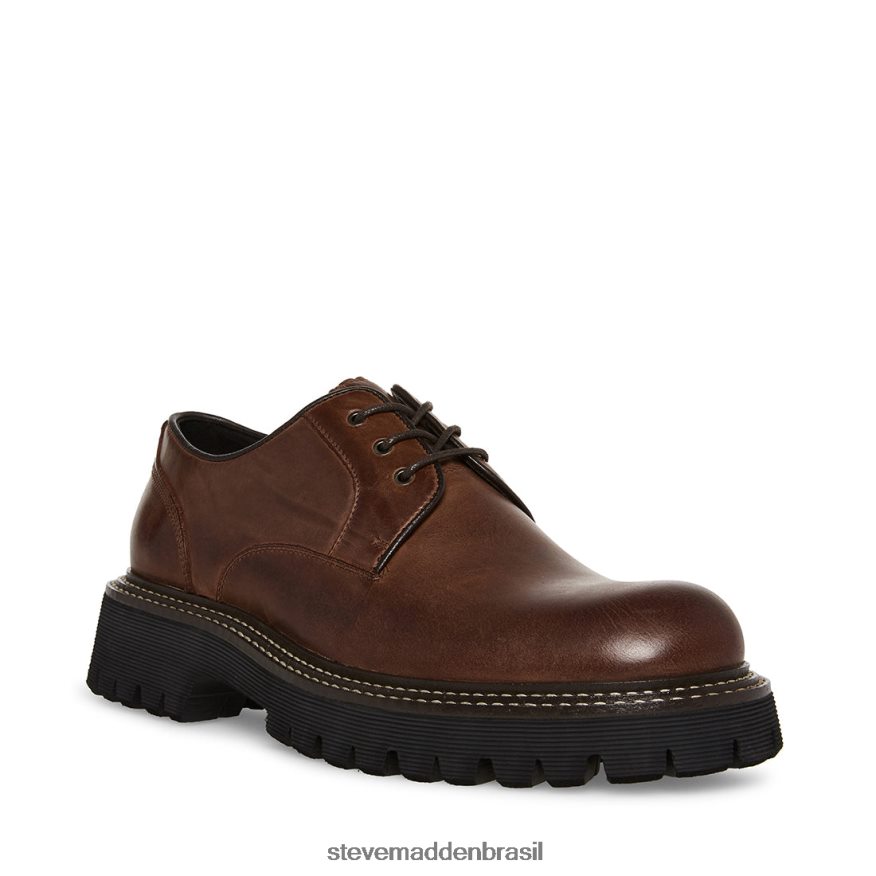 calçados Couro Marrom homens Steve Madden zylen ZTFPZH1029