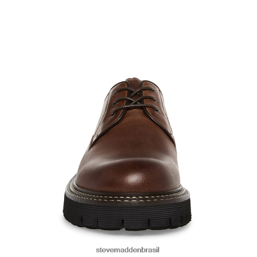 calçados Couro Marrom homens Steve Madden zylen ZTFPZH1029