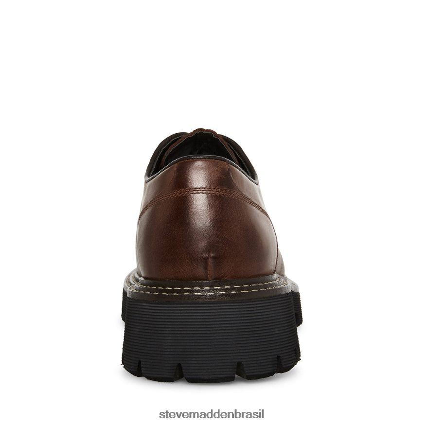 calçados Couro Marrom homens Steve Madden zylen ZTFPZH1029