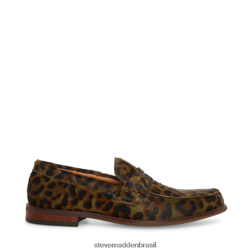 calçados Oliva homens Steve Madden raiz ZTFPZH998