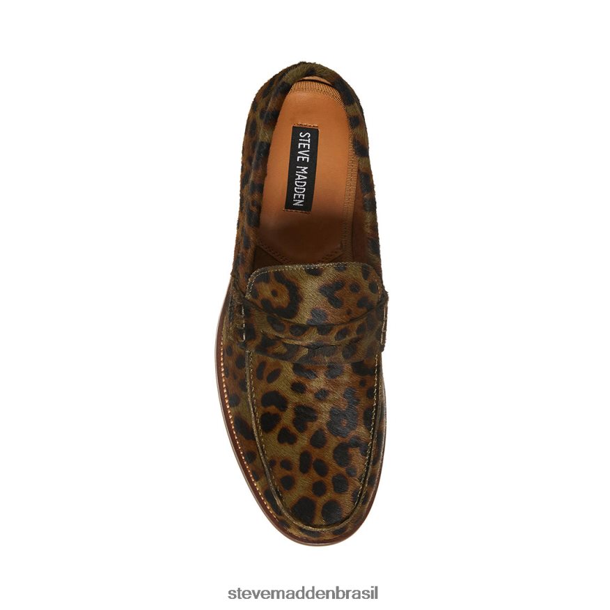 calçados Oliva homens Steve Madden raiz ZTFPZH998