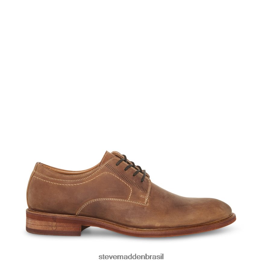 calçados couro bronzeado homens Steve Madden Kacion ZTFPZH1026