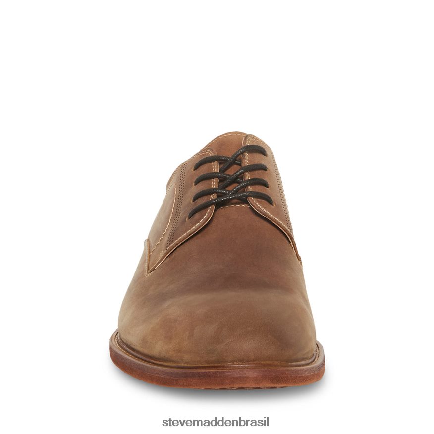 calçados couro bronzeado homens Steve Madden Kacion ZTFPZH1026