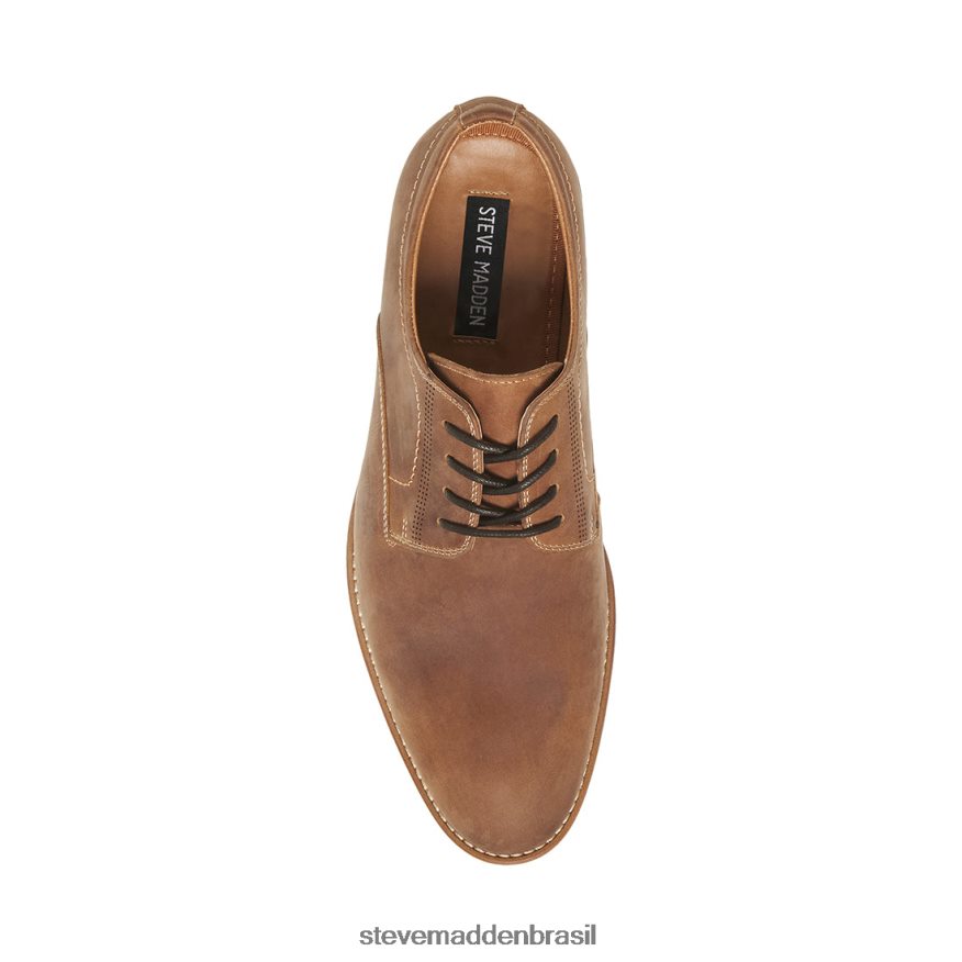 calçados couro bronzeado homens Steve Madden Kacion ZTFPZH1026