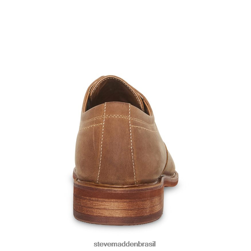 calçados couro bronzeado homens Steve Madden Kacion ZTFPZH1026