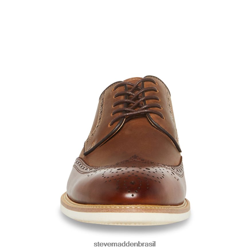 calçados couro bronzeado homens Steve Madden Kadynn ZTFPZH1035