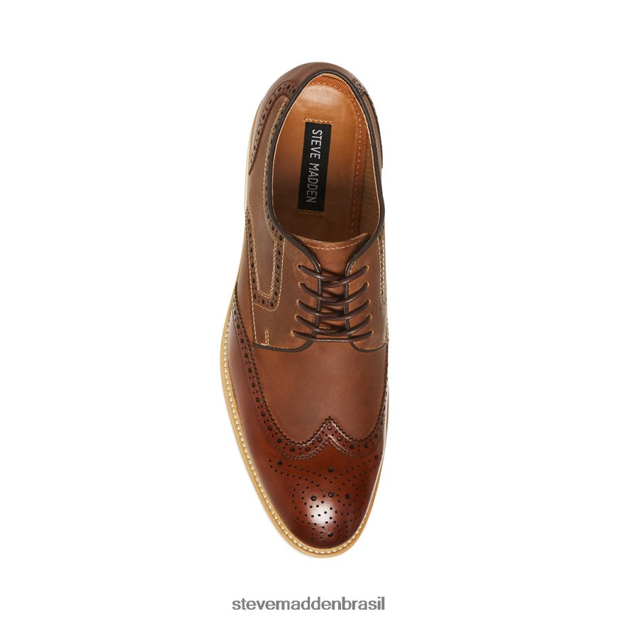 calçados couro bronzeado homens Steve Madden Kadynn ZTFPZH1035