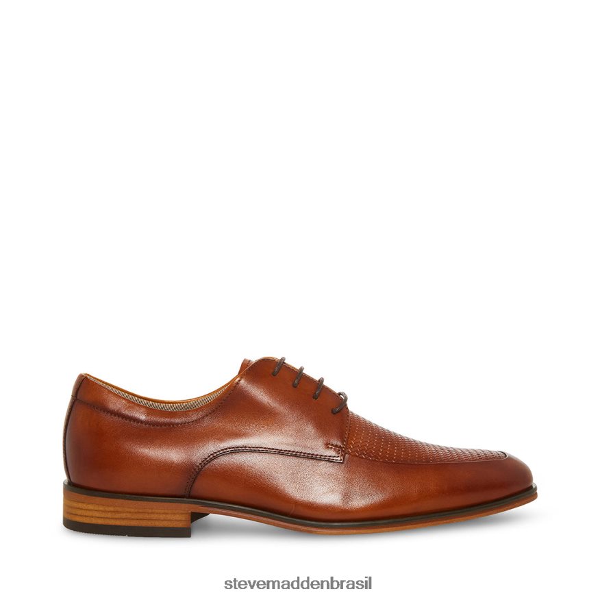 calçados couro bronzeado homens Steve Madden imala ZTFPZH1038