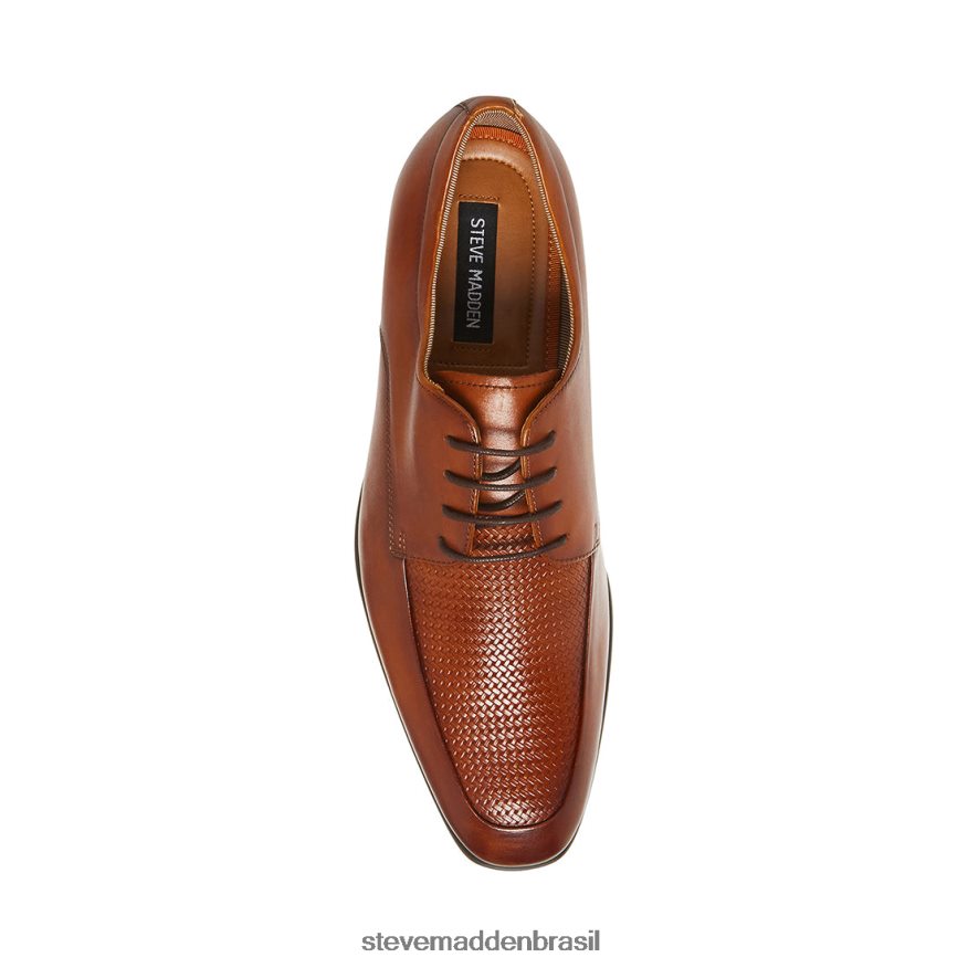 calçados couro bronzeado homens Steve Madden imala ZTFPZH1038