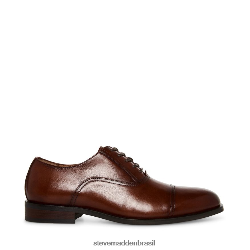 calçados couro conhaque homens Steve Madden Princeton ZTFPZH1028