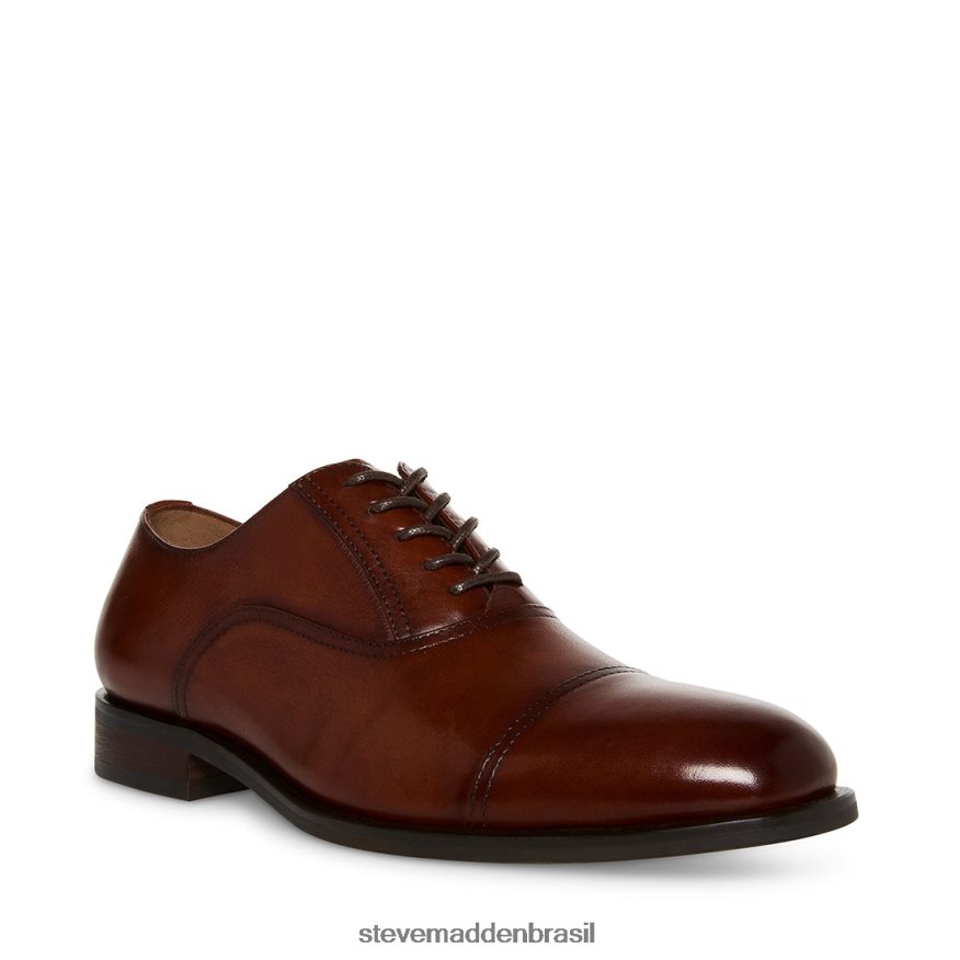 calçados couro conhaque homens Steve Madden Princeton ZTFPZH1028