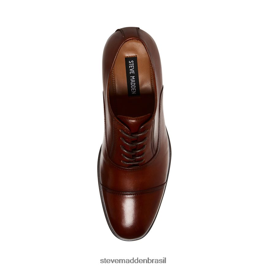 calçados couro conhaque homens Steve Madden Princeton ZTFPZH1028