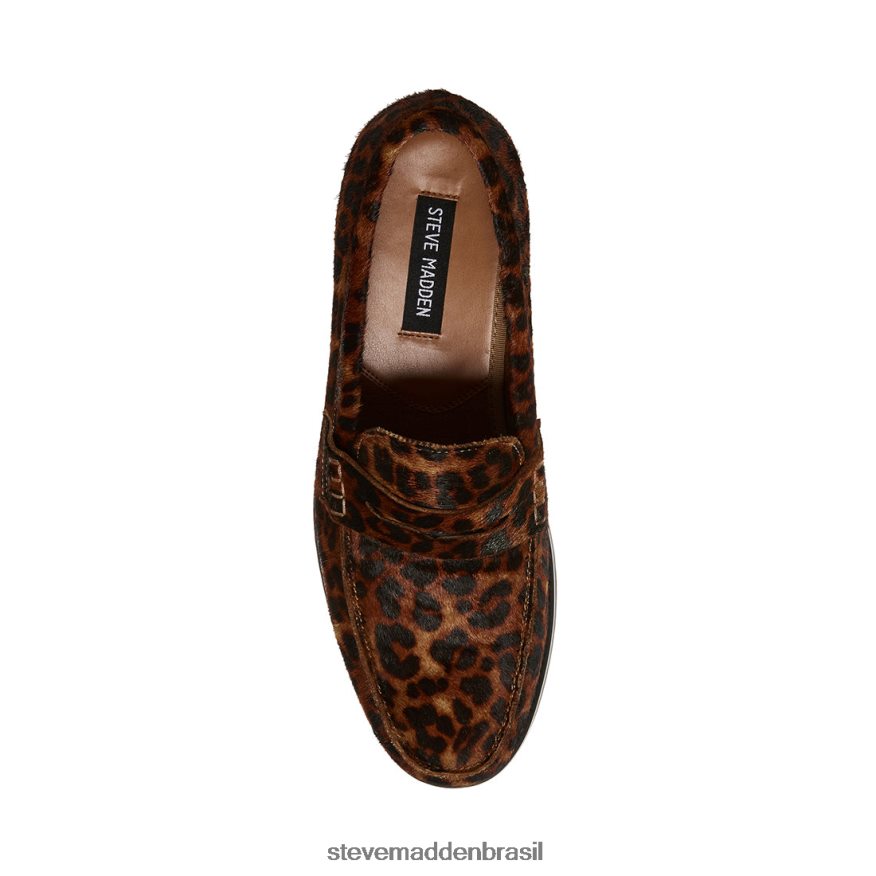 calçados leopardo homens Steve Madden raiz ZTFPZH1033