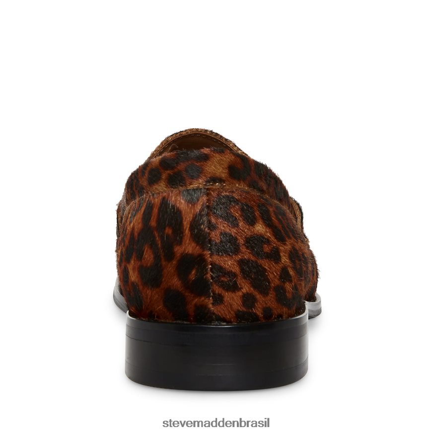 calçados leopardo homens Steve Madden raiz ZTFPZH1033