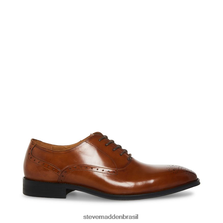 calçados couro bronzeado homens Steve Madden Zate ZTFPZH1054