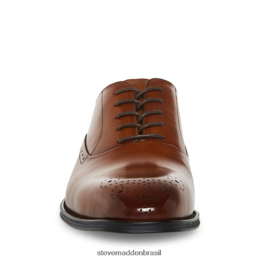 calçados couro bronzeado homens Steve Madden Zate ZTFPZH1054