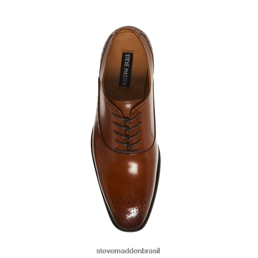 calçados couro bronzeado homens Steve Madden Zate ZTFPZH1054