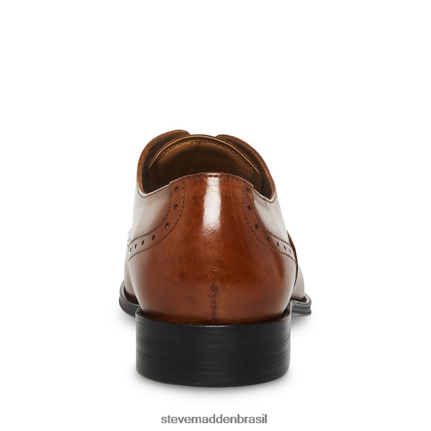 calçados couro bronzeado homens Steve Madden Zate ZTFPZH1054