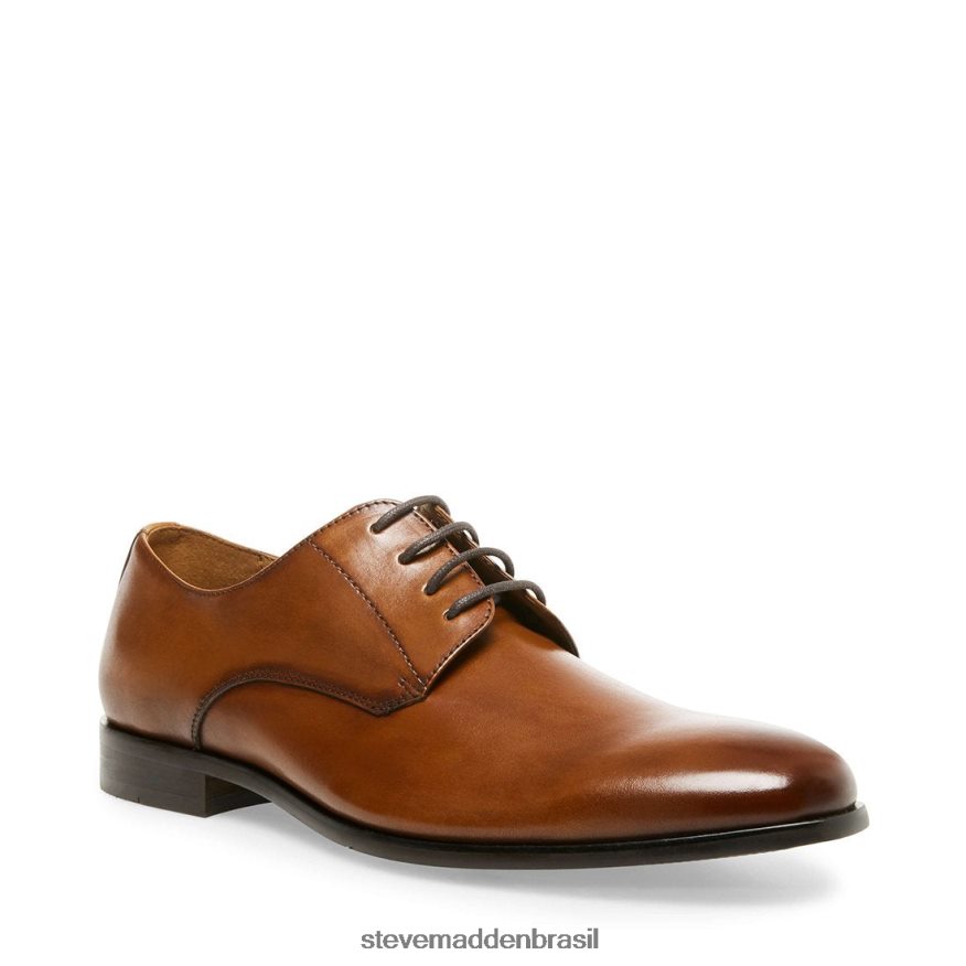 calçados couro bronzeado homens Steve Madden presa ZTFPZH1045