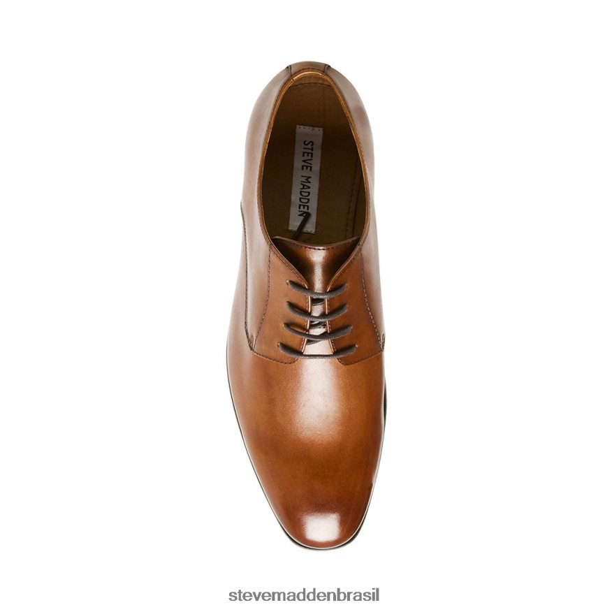 calçados couro bronzeado homens Steve Madden presa ZTFPZH1045