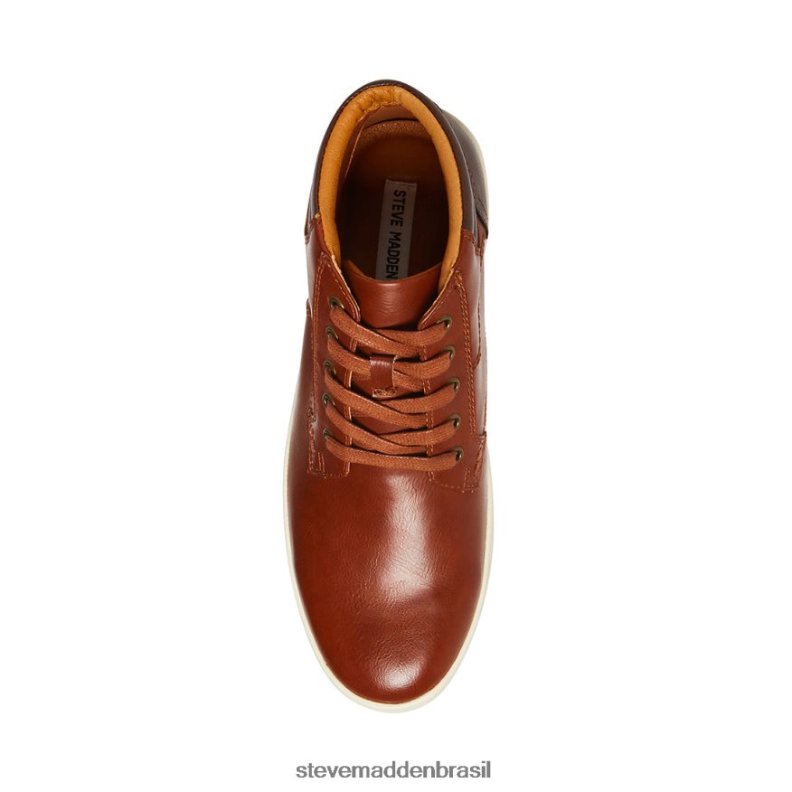 calçados conhaque homens Steve Madden briga ZTFPZH1083