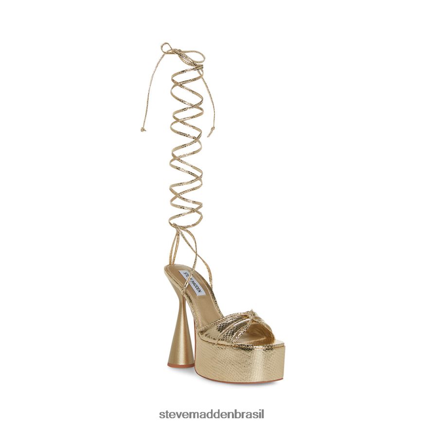 calçados cobra de ouro mulheres Steve Madden Yasmyn ZTFPZH552