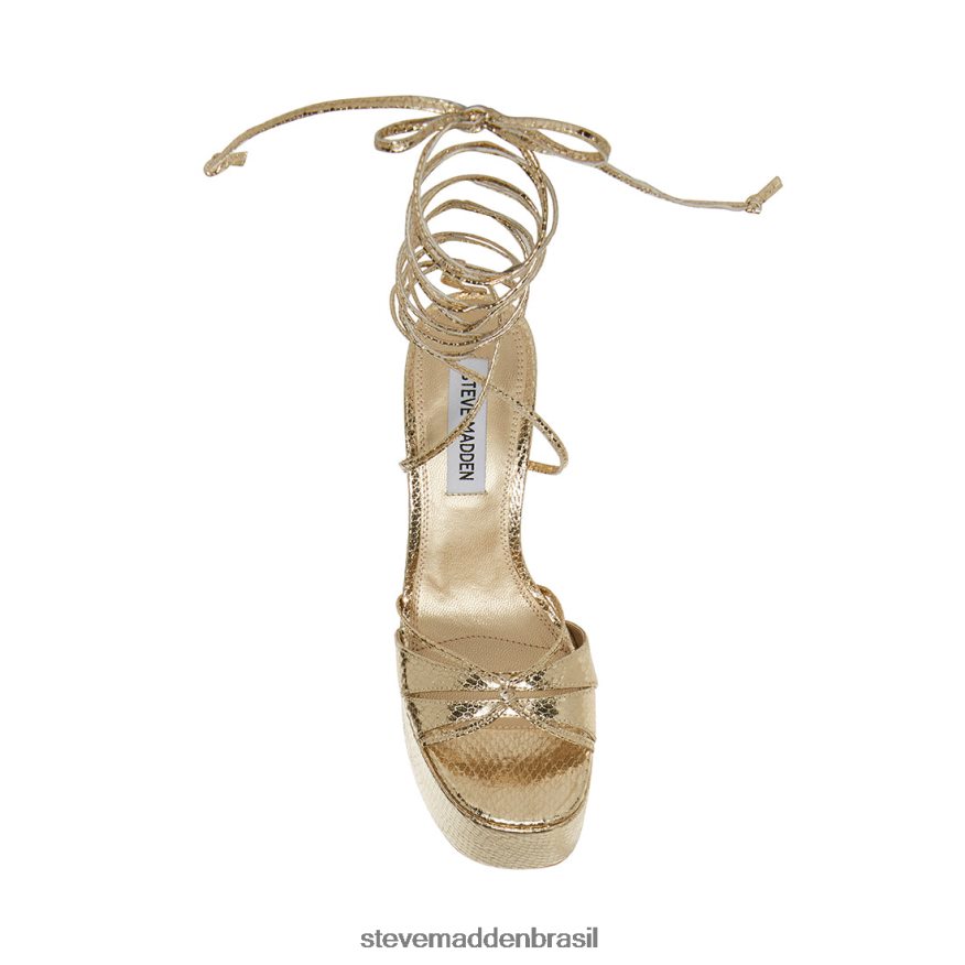 calçados cobra de ouro mulheres Steve Madden Yasmyn ZTFPZH552