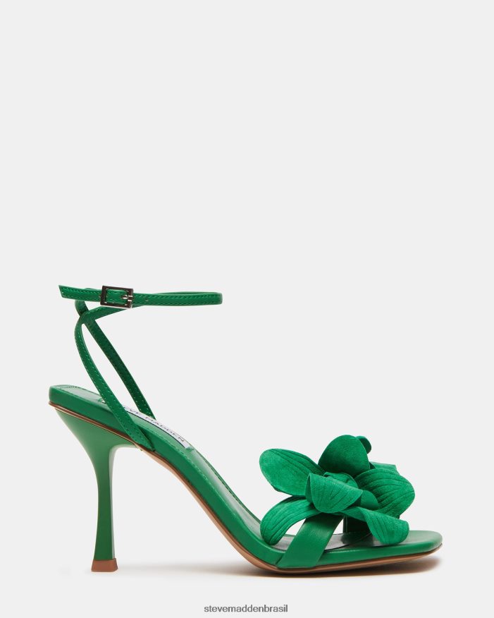 calçados verde mulheres Steve Madden amani ZTFPZH534