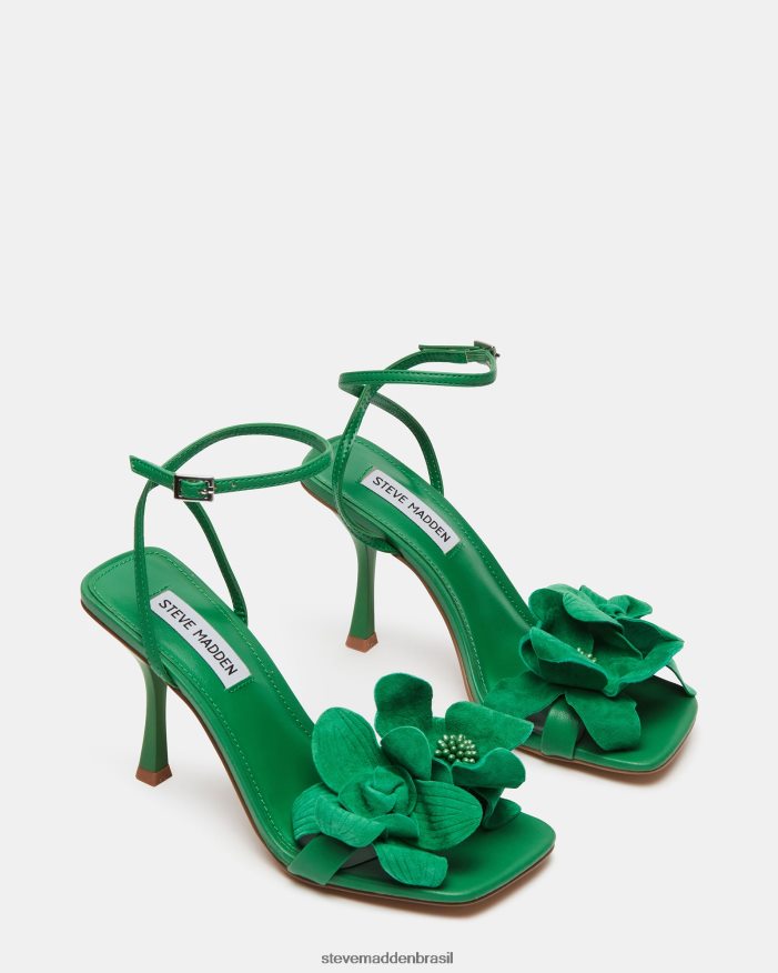 calçados verde mulheres Steve Madden amani ZTFPZH534