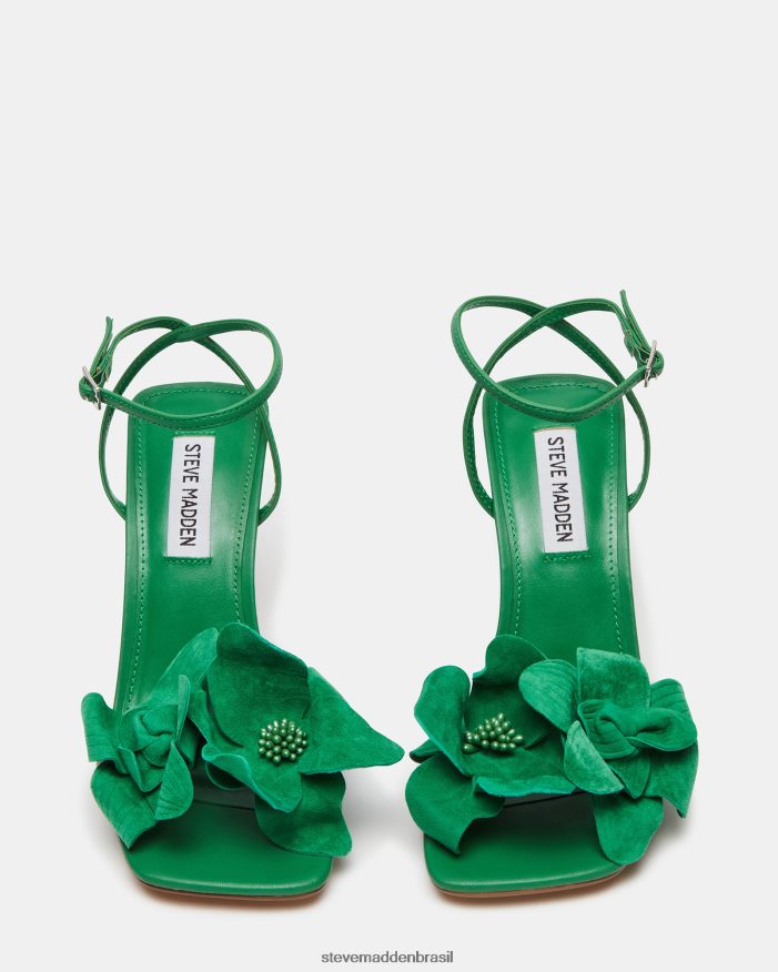 calçados verde mulheres Steve Madden amani ZTFPZH534