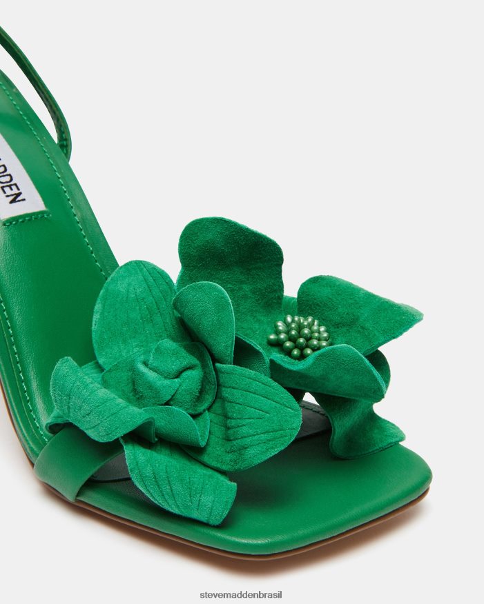 calçados verde mulheres Steve Madden amani ZTFPZH534