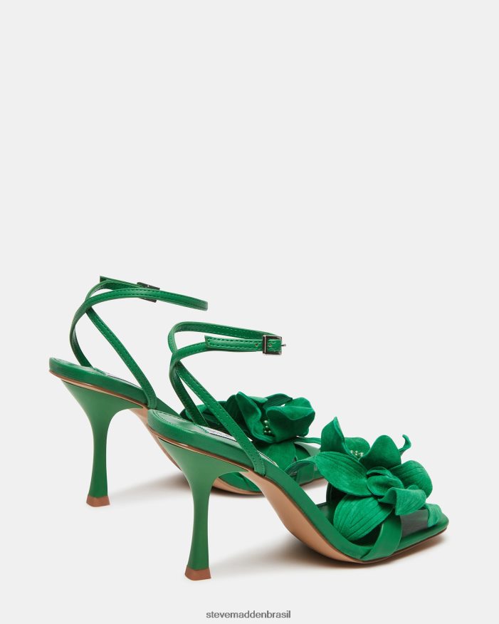 calçados verde mulheres Steve Madden amani ZTFPZH534