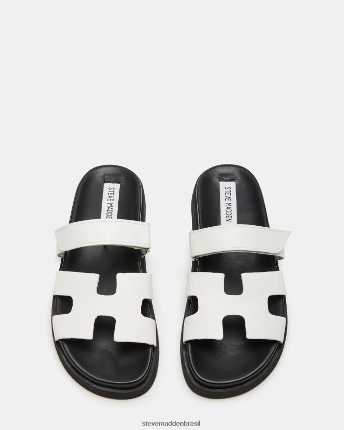 calçados Branco preto mulheres Steve Madden talvez ZTFPZH60