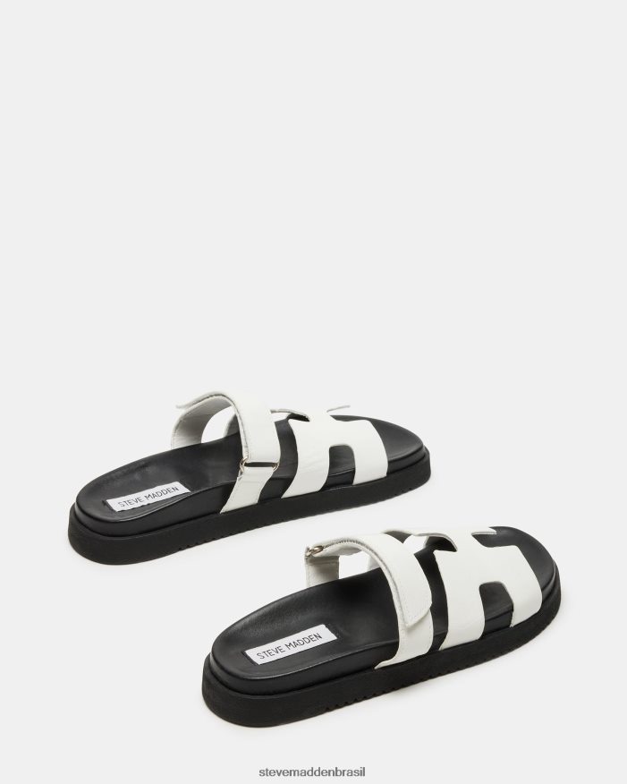 calçados Branco preto mulheres Steve Madden talvez ZTFPZH60