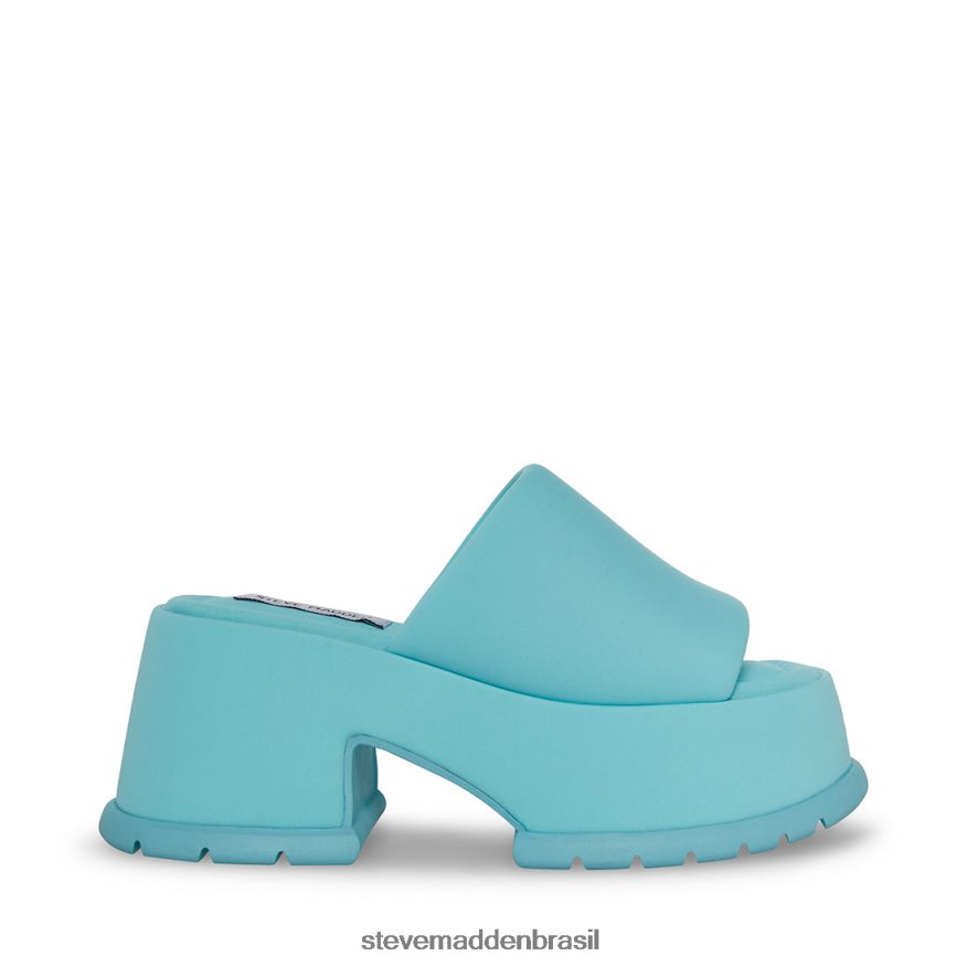 calçados azul mulheres Steve Madden shelly ZTFPZH162