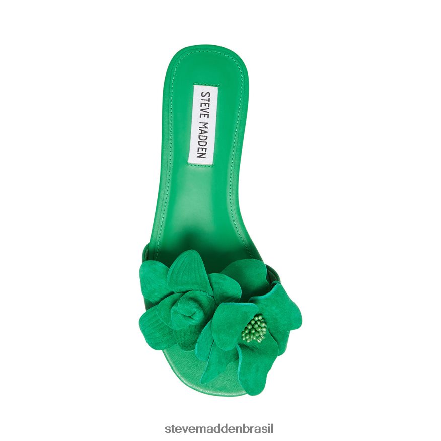 calçados camurça verde mulheres Steve Madden Melena ZTFPZH32