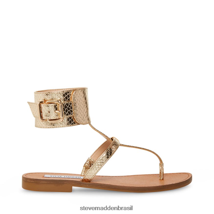 calçados cobra de ouro mulheres Steve Madden rico ZTFPZH40