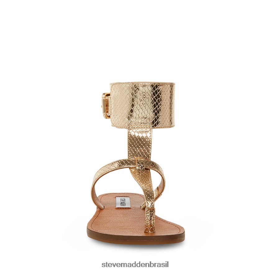 calçados cobra de ouro mulheres Steve Madden rico ZTFPZH40