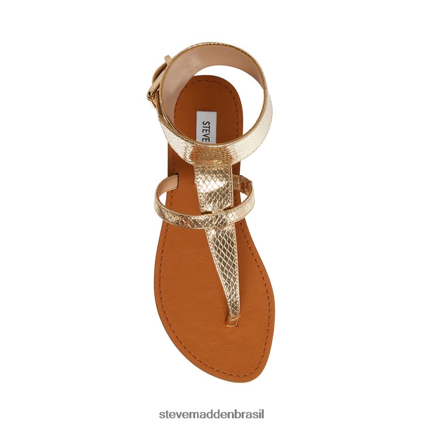 calçados cobra de ouro mulheres Steve Madden rico ZTFPZH40