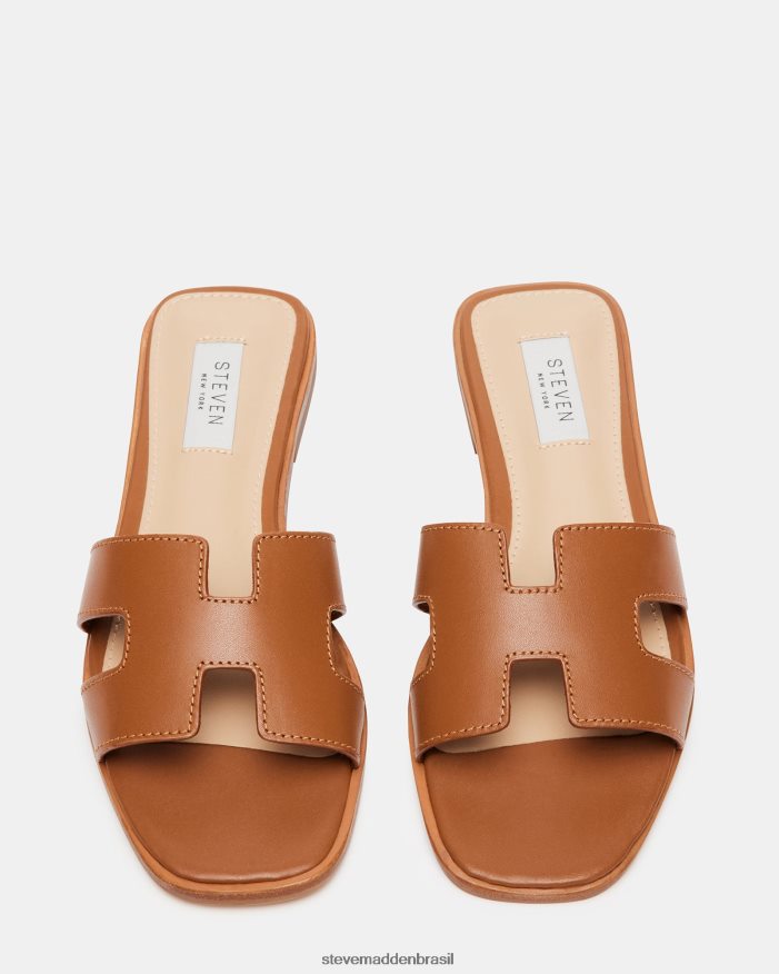 calçados couro conhaque mulheres Steve Madden Hadyn ZTFPZH4