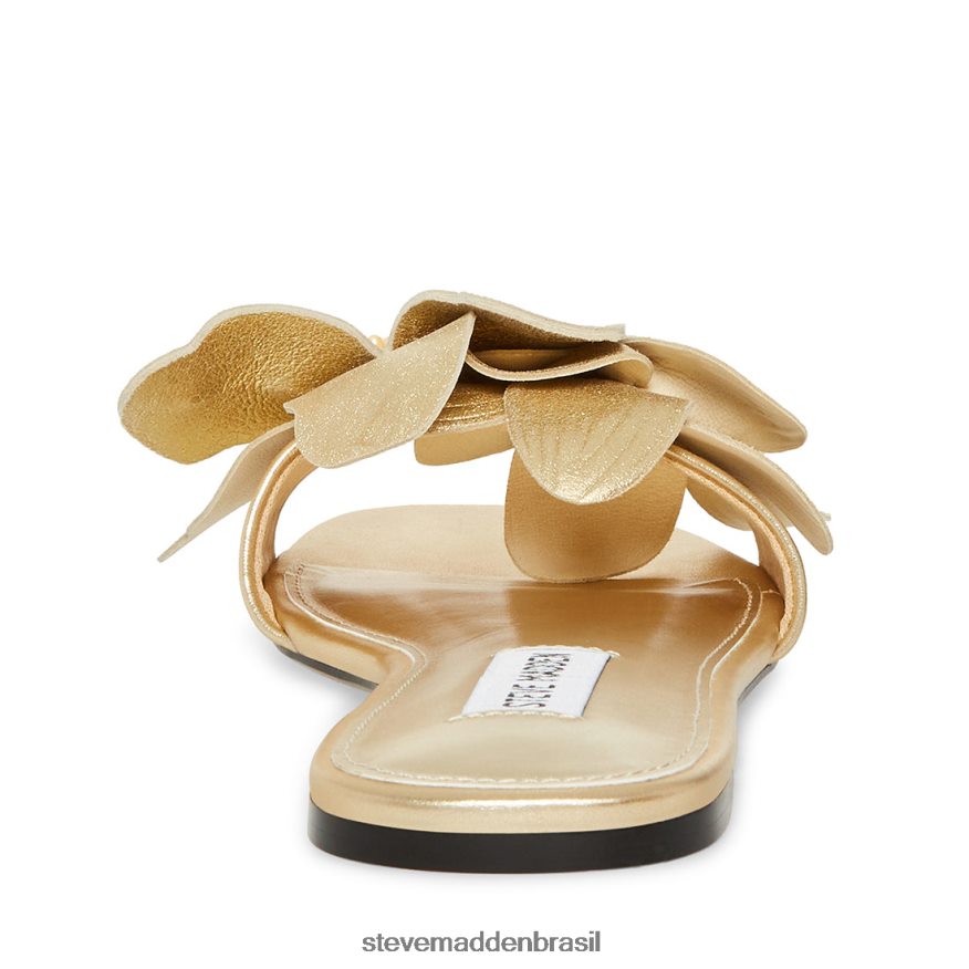 calçados couro dourado mulheres Steve Madden Melena ZTFPZH104