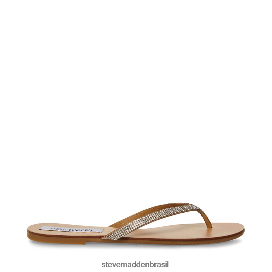 calçados strass mulheres Steve Madden imagem-r ZTFPZH44