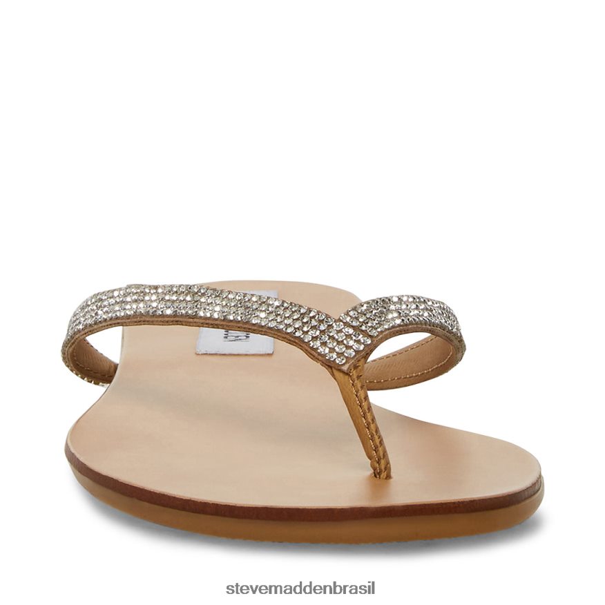 calçados strass mulheres Steve Madden imagem-r ZTFPZH44