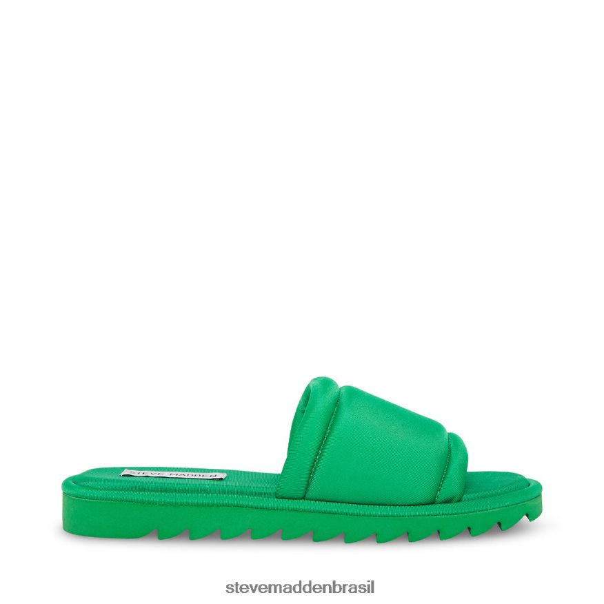 calçados verde mulheres Steve Madden coragem ZTFPZH114