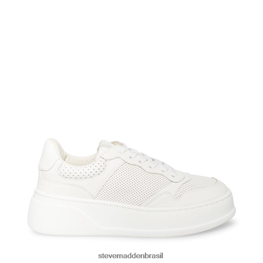 calçados branco mulheres Steve Madden Daley ZTFPZH347