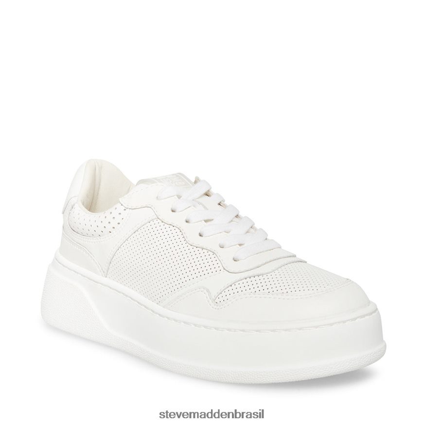 calçados branco mulheres Steve Madden Daley ZTFPZH347