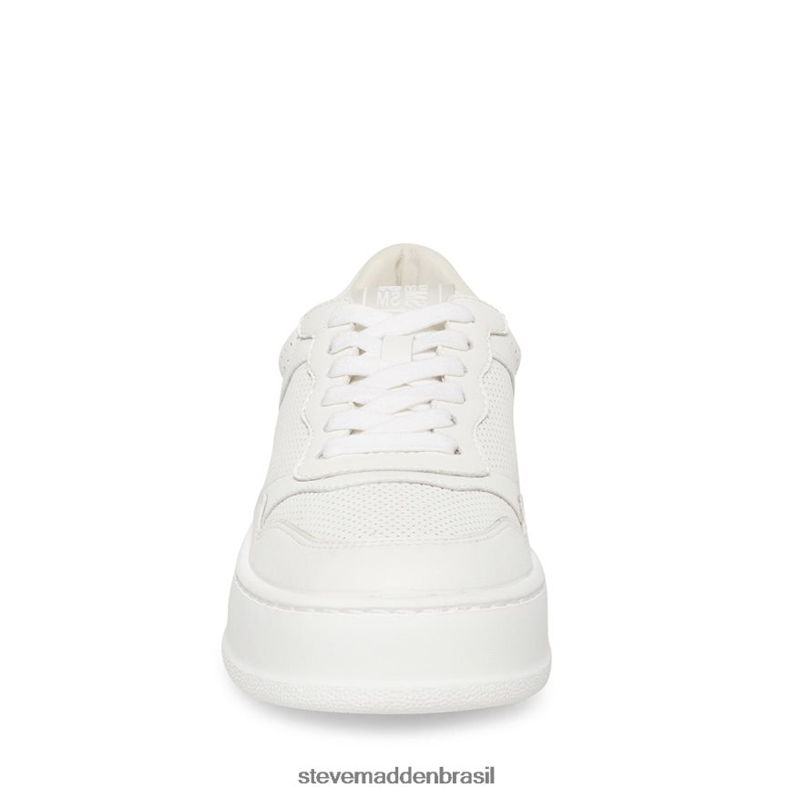 calçados branco mulheres Steve Madden Daley ZTFPZH347