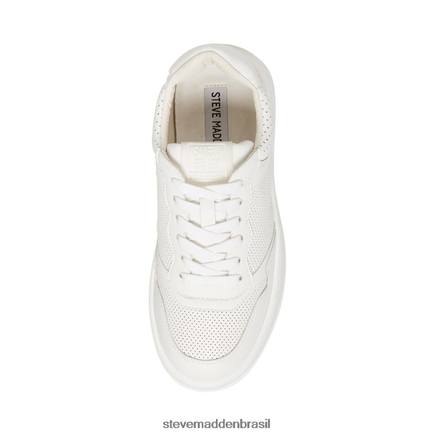 calçados branco mulheres Steve Madden Daley ZTFPZH347